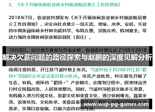 解决欠薪问题的路径探索与赵鹏的深度见解分析