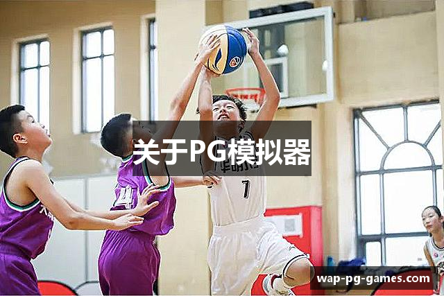 关于PG模拟器